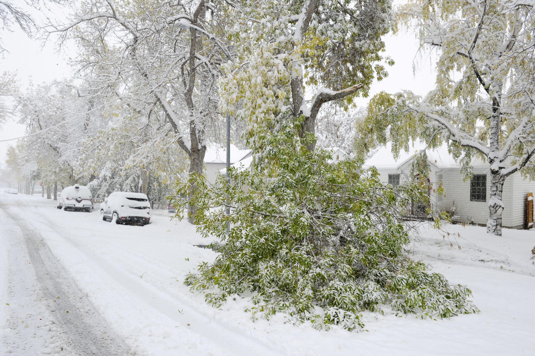 October Snow Storm